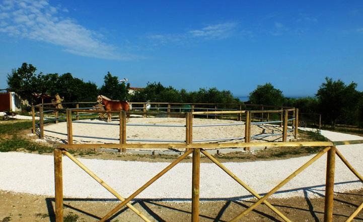 Agriturismo La Casa Della Lavanda - Il Rustico Marina di Montemarciano Exterior foto